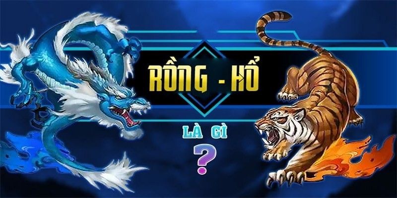 Giới thiệu sơ lược về game Rồng Hổ đình đám