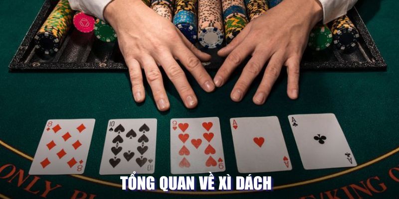 Tổng quan về xì dách